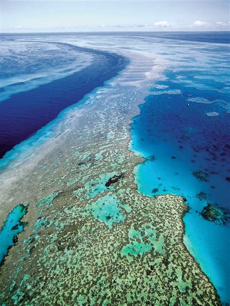 Australia Unveils Its Plan To Protect Great Barrier Reef The New York
