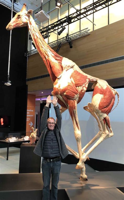 Experiencing Body Worlds Animal Inside Out Exhibition At Telus Spark