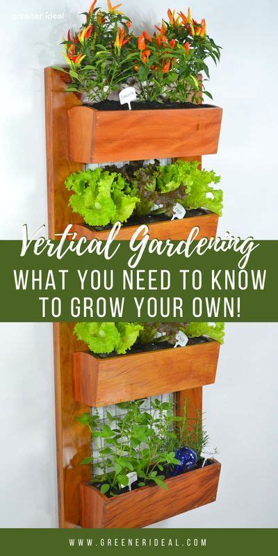 Vertical Gardens What You Need To Know To Grow Your Own Vertical