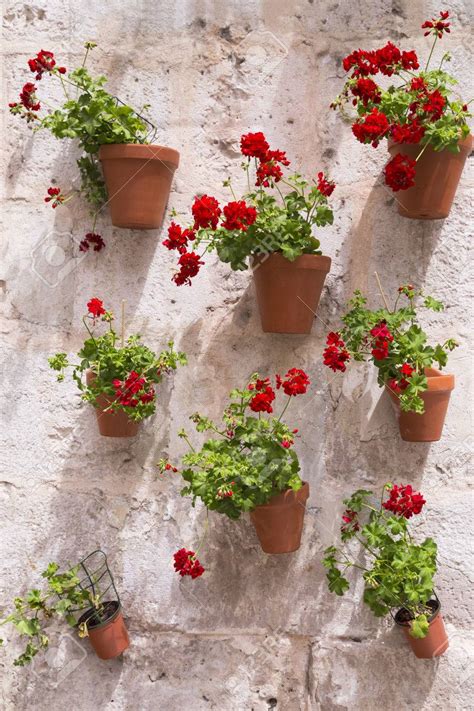 Crosswords are a great way to keep your mind working, it has proven to be an excellent learning process for both kids and adults. Creating a Hanging Italian Wall Garden - GRAND VOYAGE ITALY