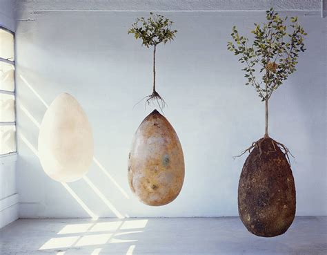 Life After Death Organic Burial Pods Turn Human Bodies Into Living Trees Weburbanist