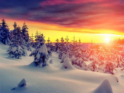 Wallpaper Sunset Snow Trees Winter Red Sky Clouds 3840x2160 Uhd 4k
