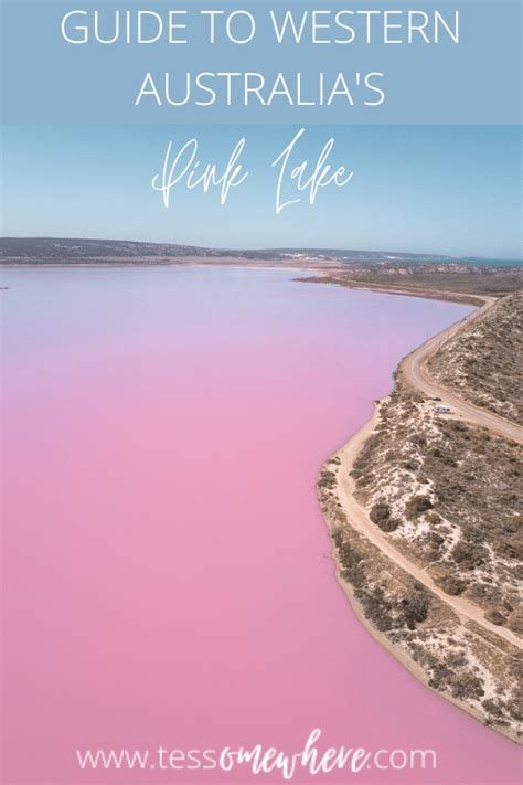 Western Australias Pink Lake A Guide To Visiting Hutt Lagoon