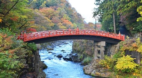 10 Most Beautiful Bridges In Nature