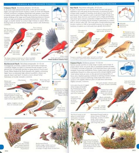 Field Guide To Australian Birds Complete Compact Edition Nhbs Field