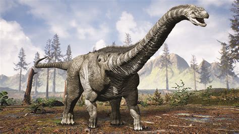 Taxobox name = argentinosaurus fossil range = mid cretaceous image width = 250px image wikipedia español. What was the largest dinosaur ever? | Guinness World Records