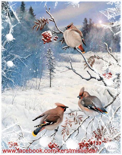 Birds In The Winter Sitting In A Tree Eating Berries Its Snowing And