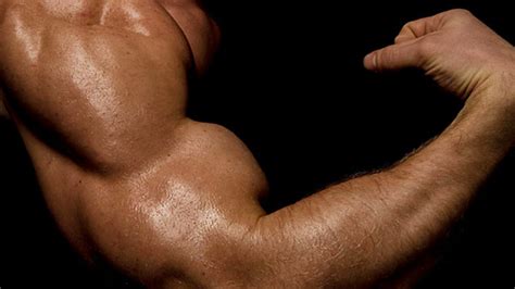 6 Muscle Building Myths Debunked