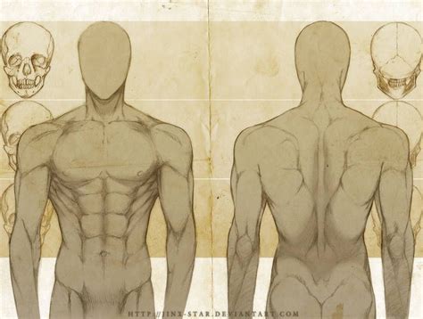 Male Anatomy Template Back By Shintenzu On Deviantart Artofit