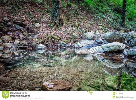 Mountain River Flowing Through The Green Forest Stock Photo Image Of