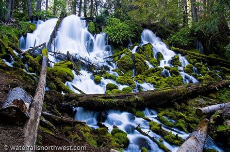Clear Water Falls North Umpqua Oregon Oregon Waterfalls Waterfall