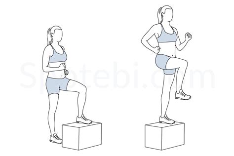 step up with knee raise illustrated exercise guide