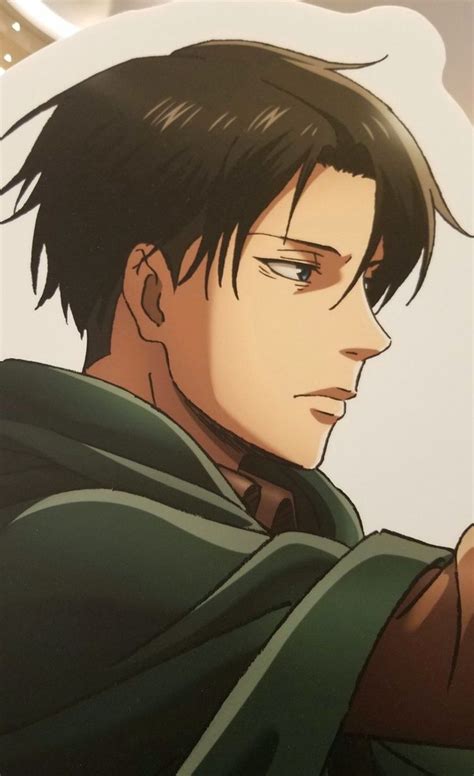 Attack On Titan Wattpad Hairstyle Levi X Reader Cute Curly Hairstyles