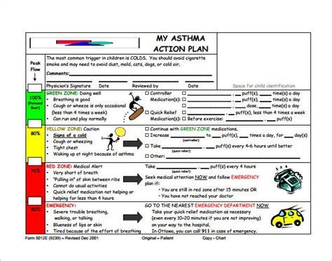 Asthma Action Plan Template 13 Free Sample Example Format Download