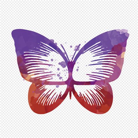 Abstract Butterfly Watercolor At Getdrawings Free Download