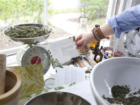 The Herbal Starter Kit Start Using Herbs Today In 2020 Herbalism