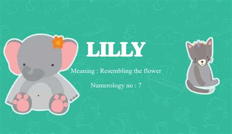 Lilly Name Meaning