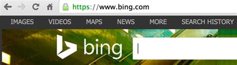 Ssl Bing Com Images Search