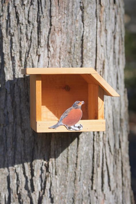 American Robin Cedar Bird House Etsy