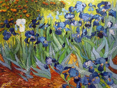 Irises Painting By Vincent Van Gogh Reproduction