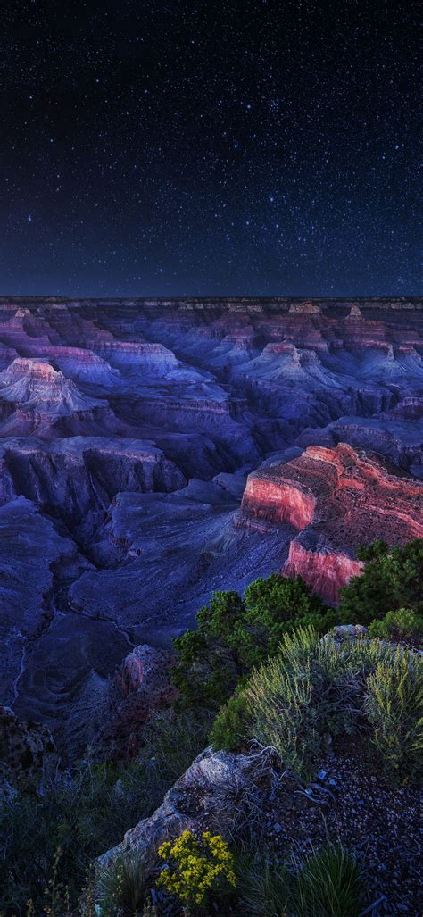 The Night Sky Is Lit Up Over An Expansive Canyon