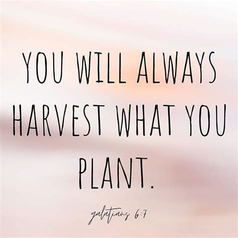 You Will Always Harvest What You Plant Live Love Inspirational