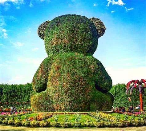 Delivery of the flowers is also a challenge. Teddy Bear at Dubai Miracle Garden