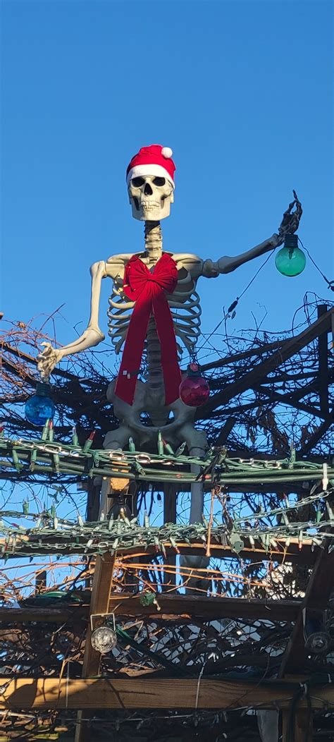 Light's on Light Street Court | Lynn MA