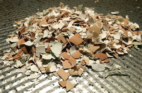 We did not find results for: How to Make Eggshell Calcium Powder - The Zero-Waste Chef