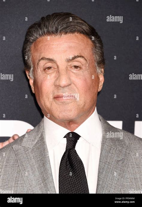 Sylvester Stallone Us Film Actor In February 2016 Photo Jeffrey Stock