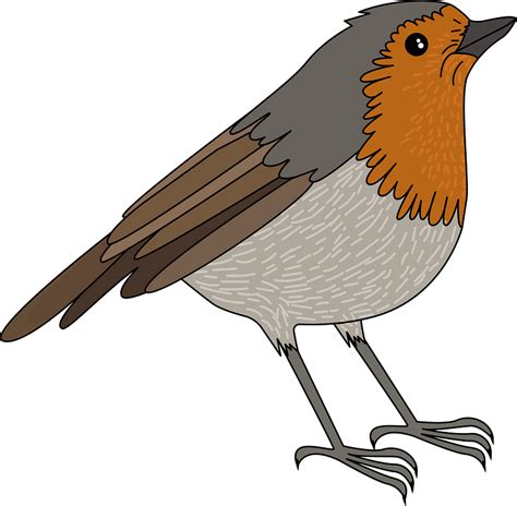 Robin Clipart Free Download Transparent Png Creazilla