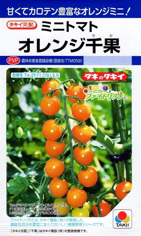 【楽天市場】【種子】ミニトマト オレンジ千果 タキイ種苗のタネ 農林水産省登録品種 登録名：ttm059：ivy