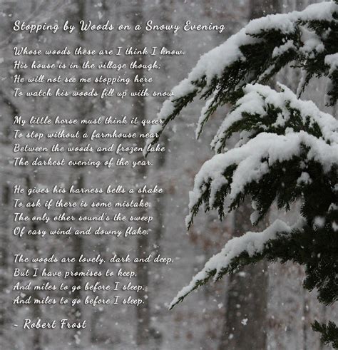 Stopping By Woods On A Snowy Evening Robert Frost In This Moment