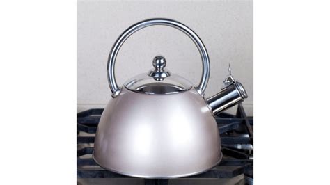 Can You Boil Milk In A Kettle Practical Cooks