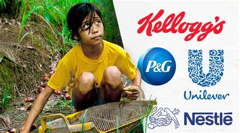 Kelloggs Nestlé Unilever No To Child Labor For Palm Oil