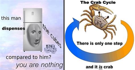 50 Surreal Memes That Might Leave You Scratching Your Head Memebase