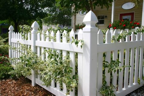 Check spelling or type a new query. 25+ Ideas for Decorating your Garden Fence (DIY)