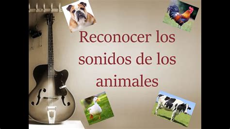 Reconocer El Sonido De Los Animales Youtube