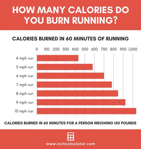 how do treadmills calculate calories burned postureinfohub