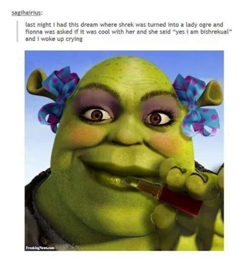 Pin By Little Unicorn On Things I Find On Facebook Shrek Memes Shrek