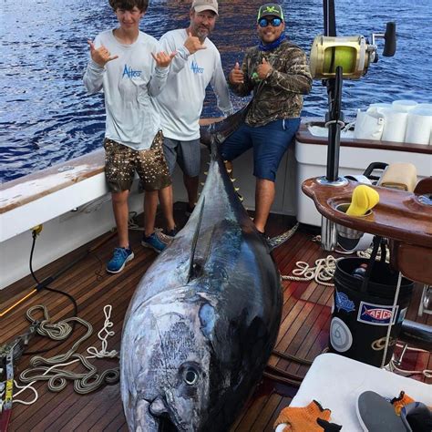 Pics of oun tuna / pics of oun tuna yellowfin tuna. 835 pounds! Lafayette teen battles giant bluefin tuna for ...