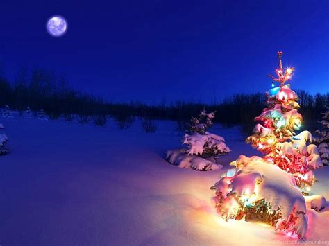 Top More Than 65 Free Live Christmas Wallpaper Best Incdgdbentre
