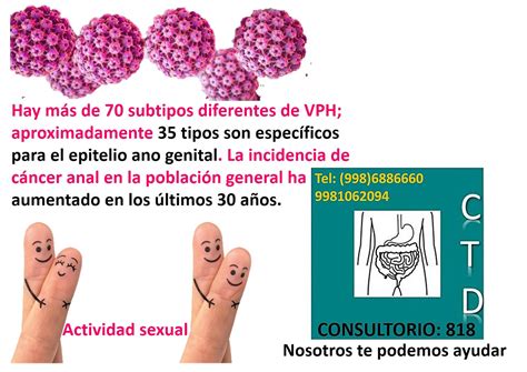 Vph VPH Virus Papiloma Humano Enfermedad Contacto Sexual ITS Ets