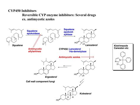 Ppt Metabolism Powerpoint Presentation Free Download Id 176158