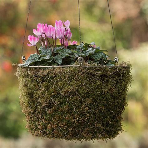 Buy Woven Chicken Wire Hanging Basket Delivery By Crocus Diy Planters