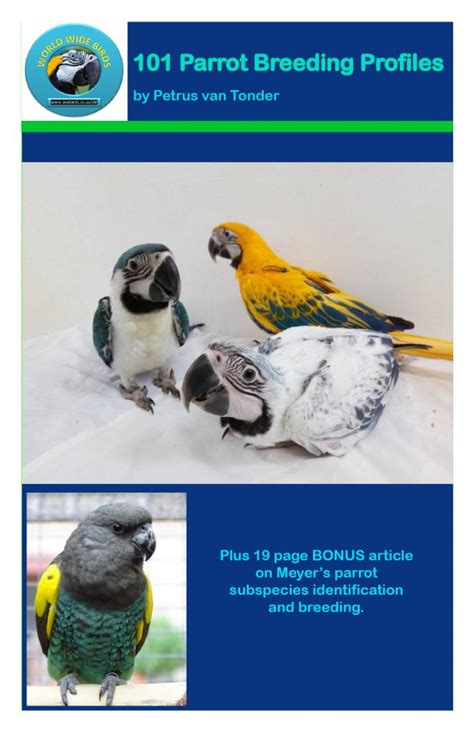 101 Parrot Breeding Profiles World Wide Birds