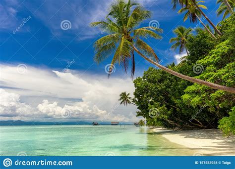 Paradise Island Landscape Of Tropical Beach Calm Ocean Palm Trees