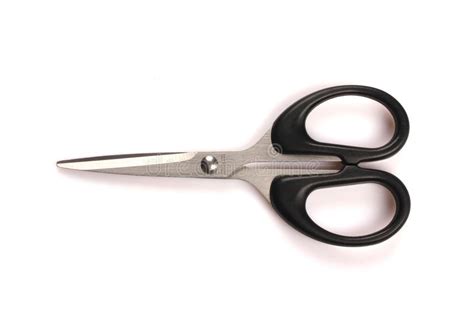 Pair Of Scissors Stock Photo Image Of Stainless Scissors 40877130