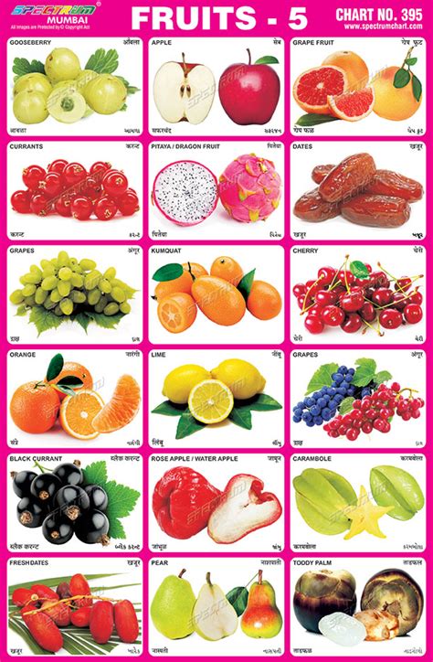 Spectrum Educational Charts Chart 395 Fruits 5