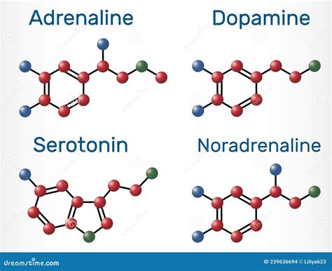 Adrenaline Epinephrine Dopamine Da Serotonin Norepinephrine